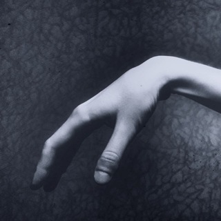 Логотип @holdenssister - Сестрица Холдена