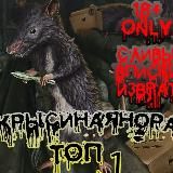 Логотип @hole_rat - Крысиная Нора Сливы 18+