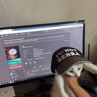 Логотип @hollygg - модер или можер?