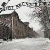 Логотип @holocaustrevision - Holocaust Scepticism Channel