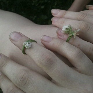 Логотип @holodpalss - Палатка