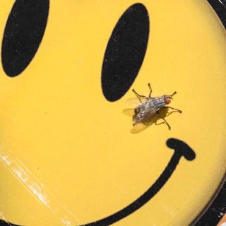 Логотип @hologram3969 - TRAP SQUAD