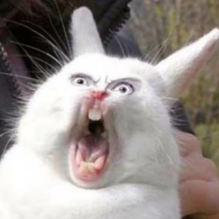 Логотип @holyfunchat - Holy Fun Chat