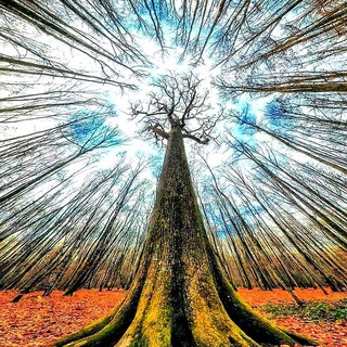 Логотип @hombre_medicina - HOMBRE MEDICINA