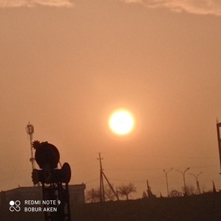 Логотип @homeless75 - Природа-дом