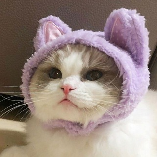 Логотип @homelessgod - tint // Портфолио