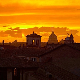 Логотип @homelessnothing - Будни