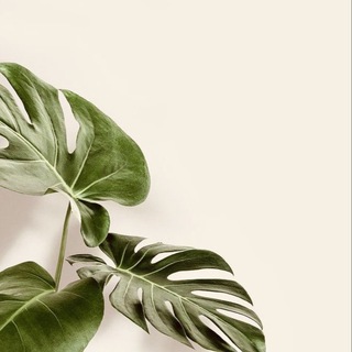 Логотип @homelook - Home Look