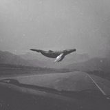 Логотип @homemusicchannel - ꫝꪮꪑꫀ.ꪑꪊᦓ꠸ᥴ