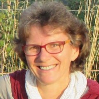 Логотип @homeschoolingwagen - Homeschooling wagen