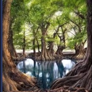 Логотип @homesteading_countryliving - 🏠 Homesteading Country Living Off Grid