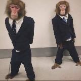 Логотип @homeybonus - Мда