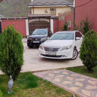 Логотип @homidov_8 - ʜᴏᴍɪᴅᴏᴠ⚜️