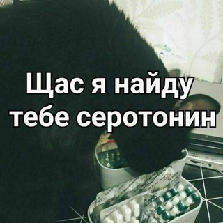 Логотип @homodecompensapiens - Homo Decompensapiens