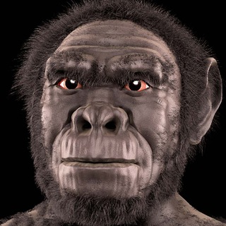 Логотип @homohabilisafricanpublic - HomoHabilis