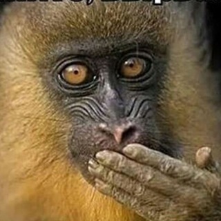 Логотип @homoludensgeo - Кто мы?