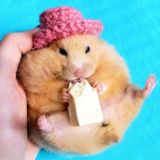 Логотип @homyaki - @homyaki