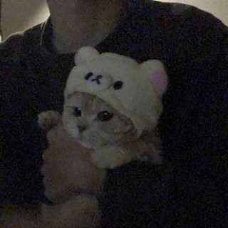 Логотип @honeyhomeforu - no one gives a shit