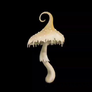 Логотип @hongossagrados - ✨🌿 HONGOS SAGRADOS 🌿✨ - 🍄 Psilocybe Cubensis 🍄
