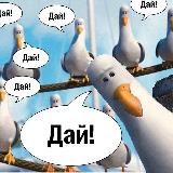 Логотип @hookah_chayka - hookah_chayka