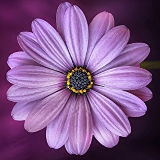 Логотип @hooponoponosecret2 - Хоопонопоно: общение единомышленников!