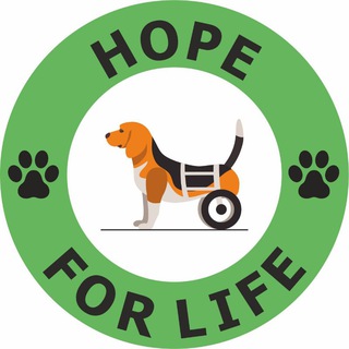 Логотип @hopeforlifetashkent - "НАДЕЖДА на ЖИЗНЬ" Дом 🏡 приют для животных и животных инвалидов