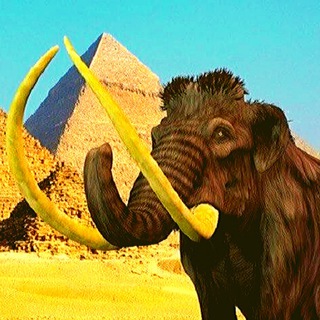 Логотип @horizontal_history - Horizontal History 卄卄 | История | Мир