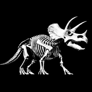 Логотип @hornysaurus - Фокус в поле