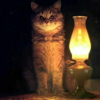 Логотип @horrorstoriesuvb - Страшные истории на ночь