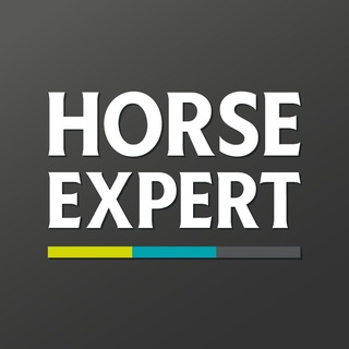 Логотип @horse_expert - Horse Expert – журнал о лошадях