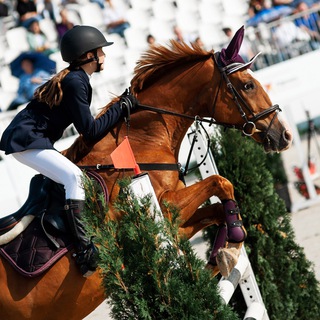 Логотип @horsebmn - horse.bmn