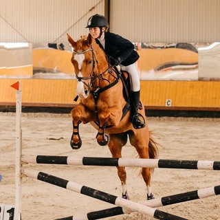 Логотип @horsebmnx2 - horse.bmn2