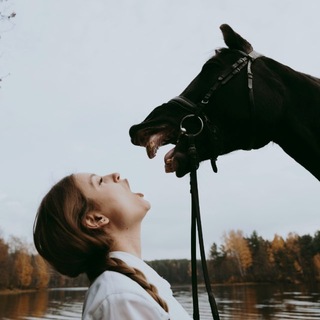 Логотип @horses_spb_tour - Тыгдык КОНЬтент
