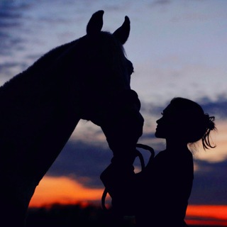 Логотип @horsestonnft - My Horse Chat 💬