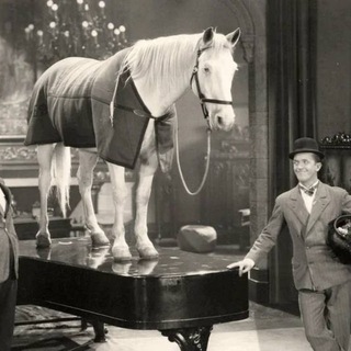 Логотип @horsewithatent - Кирилл и его конь-тент