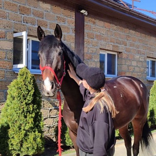 Логотип @horstimez - Li.horse.time🐎