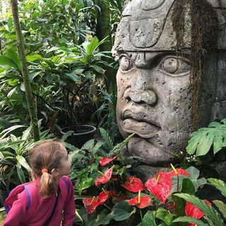 Логотип @hortus_ru_chat - Болтаем в тропиках Аптекарского огорода 🌴