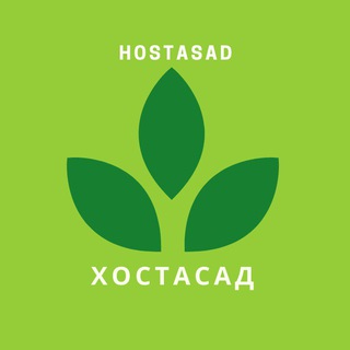 Логотип @hostasad - Хостасад 🌱