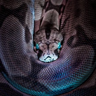 Логотип @hot_dungeons - В подземельях сегодня жарко