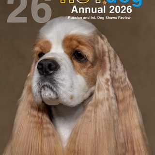 Логотип @hotdoglive - HOTdogNews