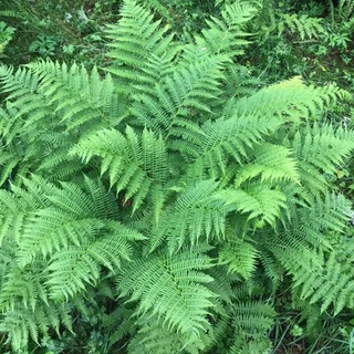 Логотип @hotelspecialoffer - Отели ЛЮДЯМ 💃🏖⛷🏘🏕