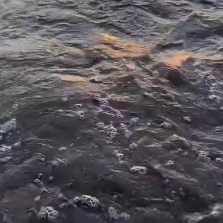 Логотип @hotirahotjkk - Як хотира🌾