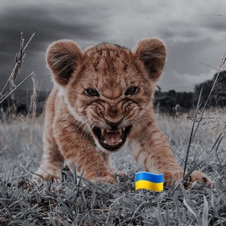 Логотип @hotpesny - 🔥Hot Music/Музика/Пісні 🔥