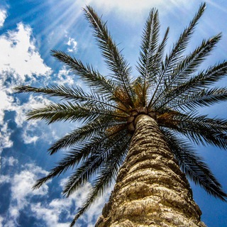 Логотип @hottoursrus - Горящие туры | Новости туризма