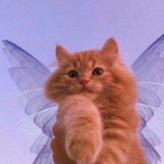 Логотип @hotverychat - 💸💸💸