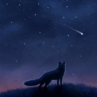 Логотип @houpastrology - FOX'S Astrology