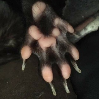 Логотип @hourlydook - Hourly Dook