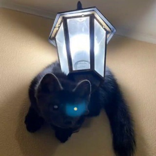 Логотип @hourlymartens - Hourly Martens