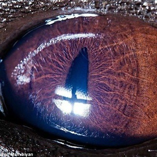 Логотип @hourlyyeens - Hourly Yeens