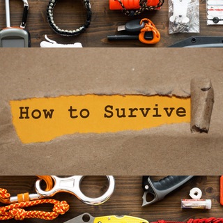 Логотип @how_to_survive_krisenvorsorge - How to Survive - Krisenvorsorge